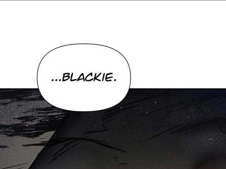 Những Ranker Cấp S Mà Tôi Nuôi Dưỡng Chapter 39 trang 161