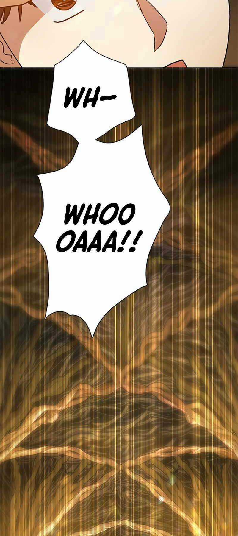 Những Ranker Cấp S Mà Tôi Nuôi Dưỡng Chapter 44 trang 39