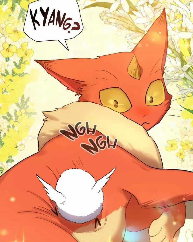 Những Ranker Cấp S Mà Tôi Nuôi Dưỡng Chapter 51 trang 78