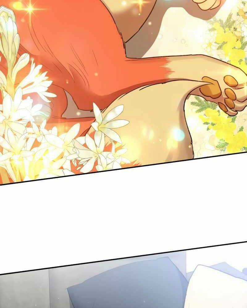 Những Ranker Cấp S Mà Tôi Nuôi Dưỡng Chapter 51 trang 79