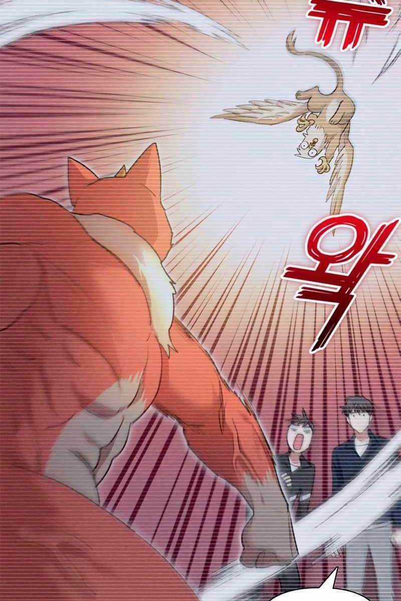 Những Ranker Cấp S Mà Tôi Nuôi Dưỡng Chapter 57 trang 13