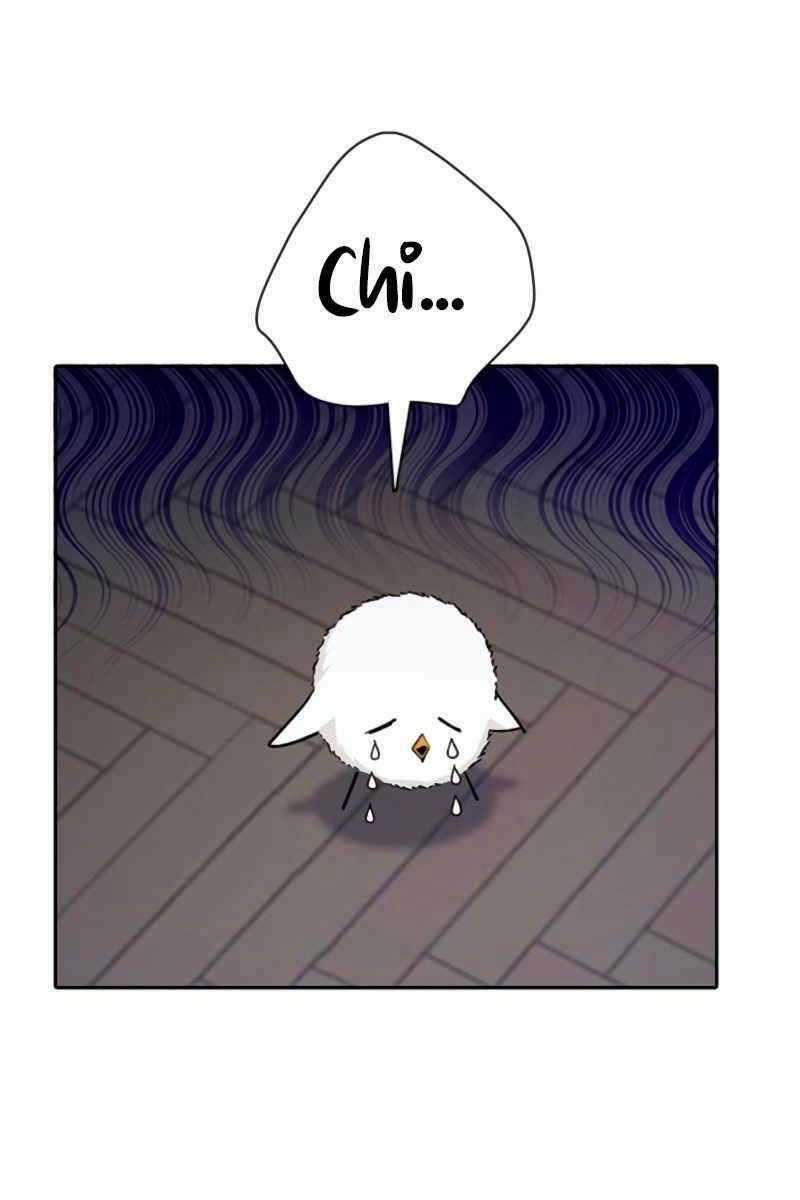 Những Ranker Cấp S Mà Tôi Nuôi Dưỡng Chapter 62 trang 10