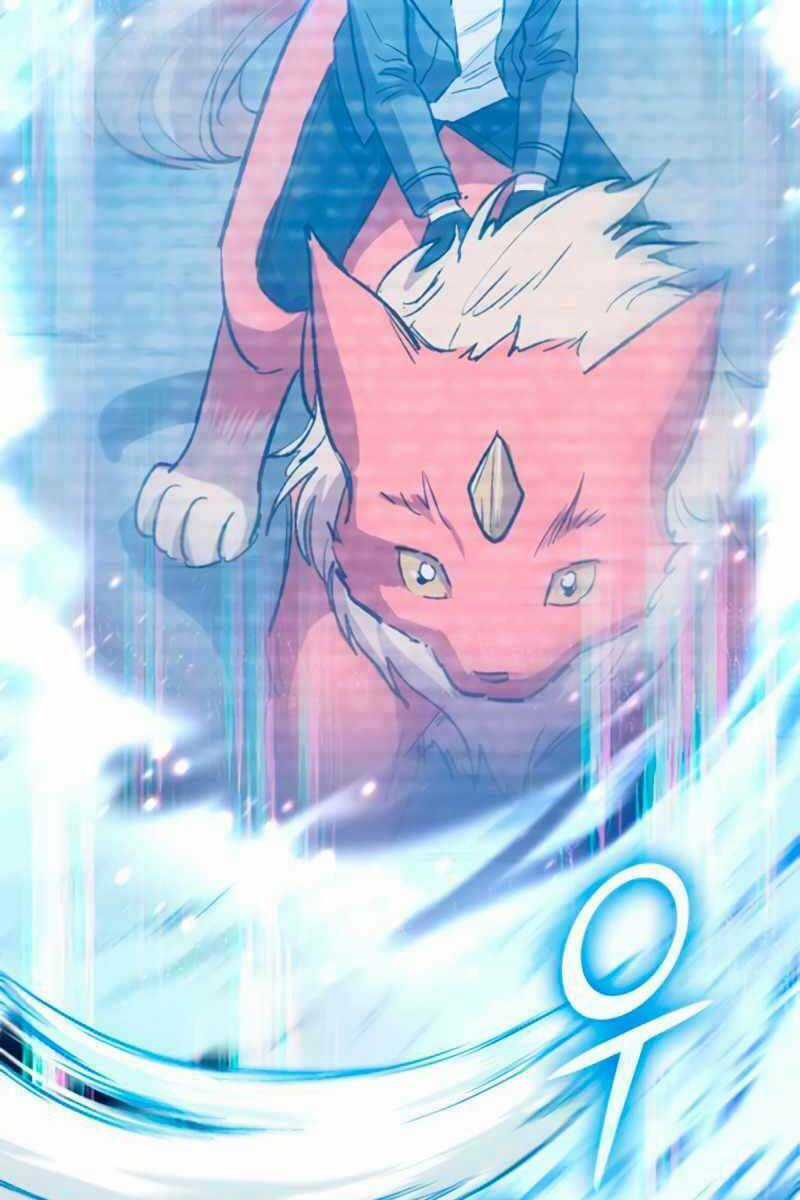 Những Ranker Cấp S Mà Tôi Nuôi Dưỡng Chapter 62 trang 19