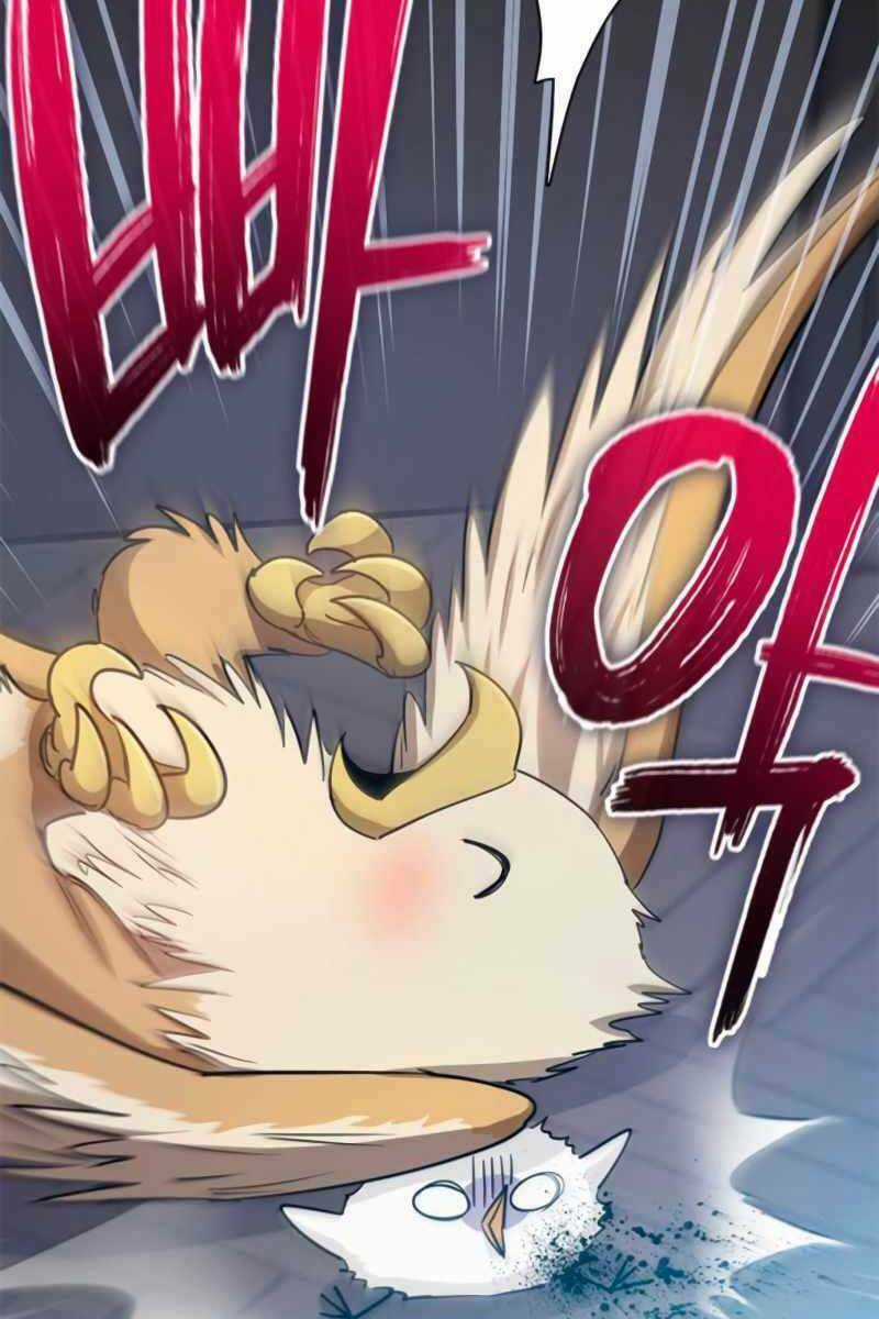 Những Ranker Cấp S Mà Tôi Nuôi Dưỡng Chapter 62 trang 25