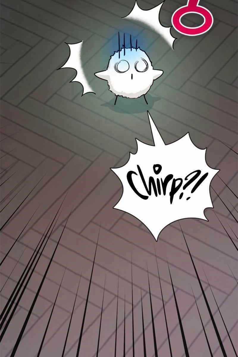 Những Ranker Cấp S Mà Tôi Nuôi Dưỡng Chapter 62 trang 7