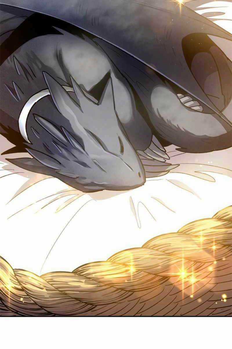 Những Ranker Cấp S Mà Tôi Nuôi Dưỡng Chapter 69 trang 15