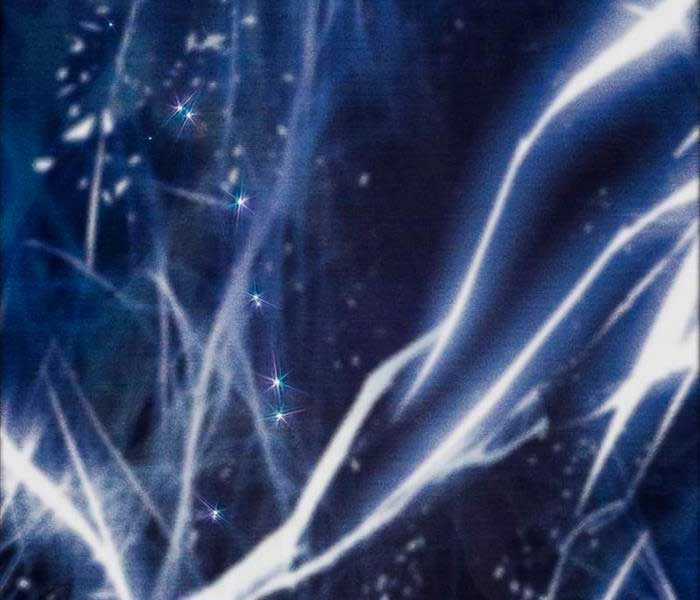 Những Ranker Cấp S Mà Tôi Nuôi Dưỡng Chapter 92 trang 117