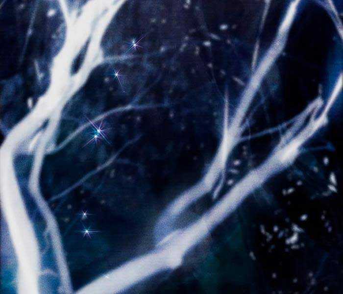 Những Ranker Cấp S Mà Tôi Nuôi Dưỡng Chapter 92 trang 118