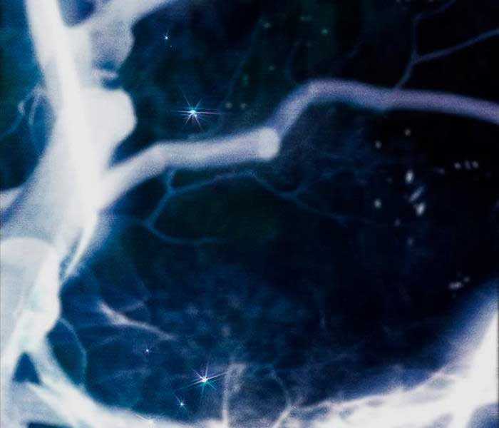 Những Ranker Cấp S Mà Tôi Nuôi Dưỡng Chapter 92 trang 119