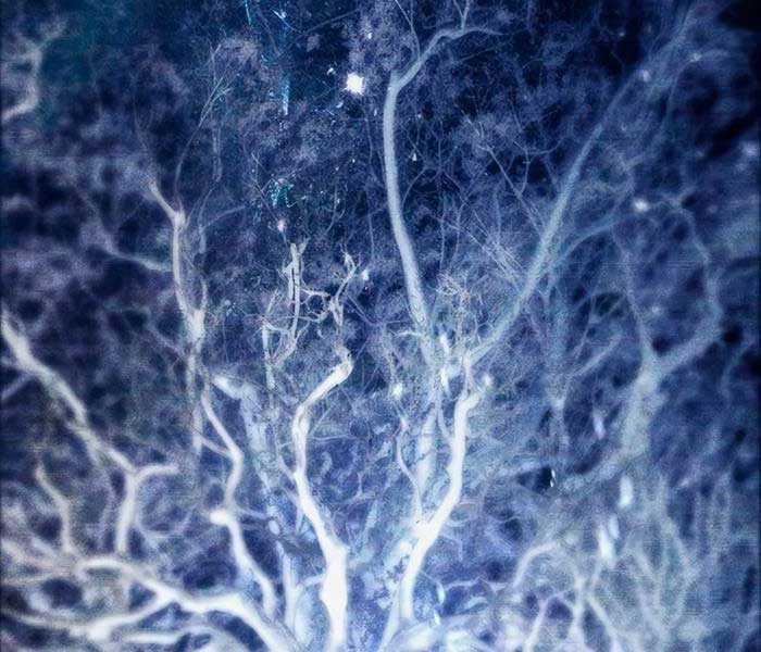 Những Ranker Cấp S Mà Tôi Nuôi Dưỡng Chapter 92 trang 123