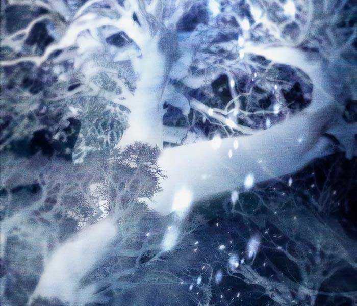 Những Ranker Cấp S Mà Tôi Nuôi Dưỡng Chapter 92 trang 124