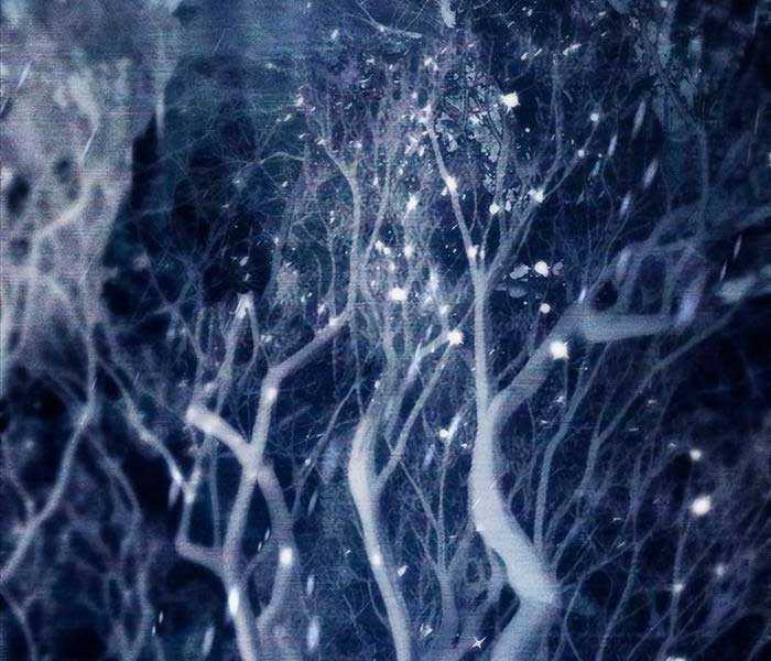 Những Ranker Cấp S Mà Tôi Nuôi Dưỡng Chapter 92 trang 125