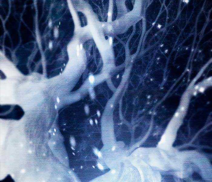 Những Ranker Cấp S Mà Tôi Nuôi Dưỡng Chapter 92 trang 126