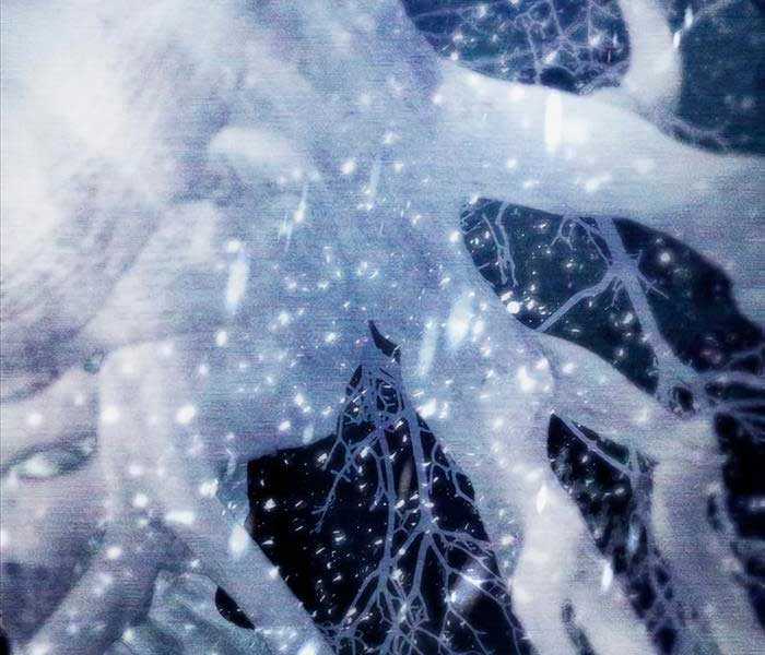 Những Ranker Cấp S Mà Tôi Nuôi Dưỡng Chapter 92 trang 129