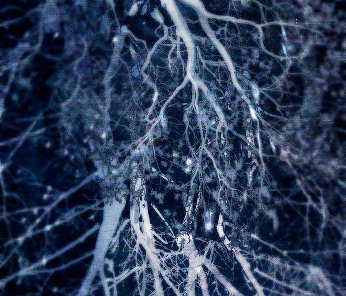 Những Ranker Cấp S Mà Tôi Nuôi Dưỡng Chapter 92 trang 132