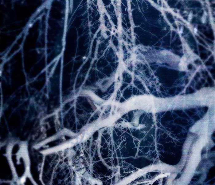 Những Ranker Cấp S Mà Tôi Nuôi Dưỡng Chapter 92 trang 133