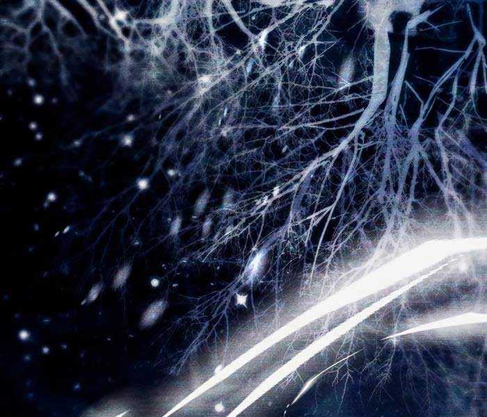 Những Ranker Cấp S Mà Tôi Nuôi Dưỡng Chapter 92 trang 134