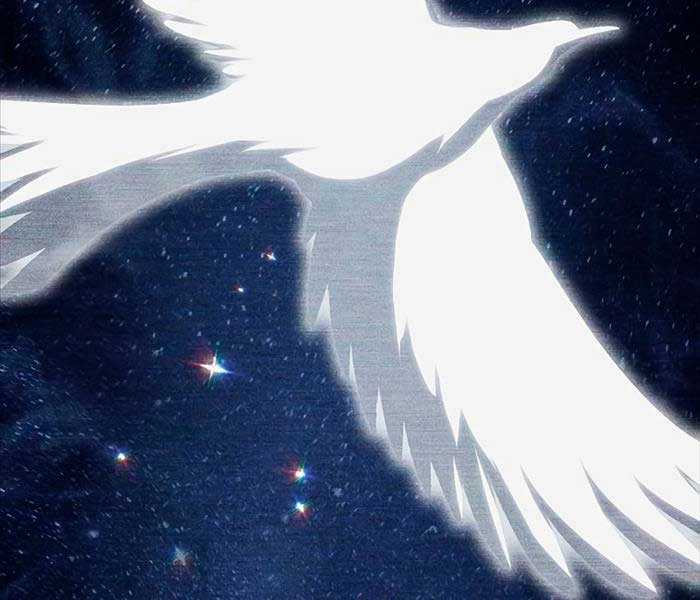 Những Ranker Cấp S Mà Tôi Nuôi Dưỡng Chapter 92 trang 143