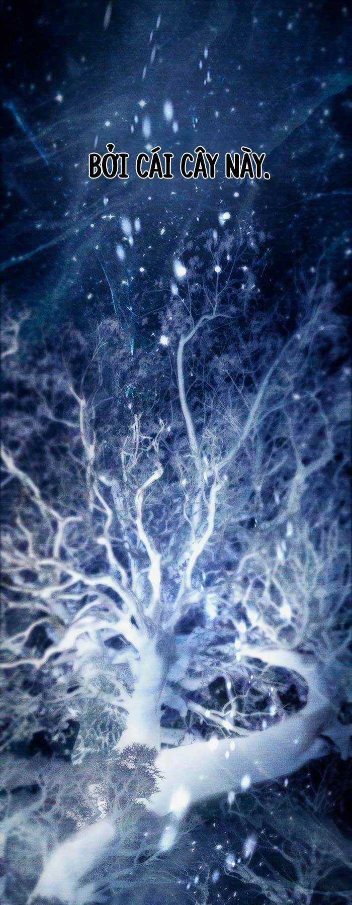 Những Ranker Cấp S Mà Tôi Nuôi Dưỡng Chapter 92 trang 41