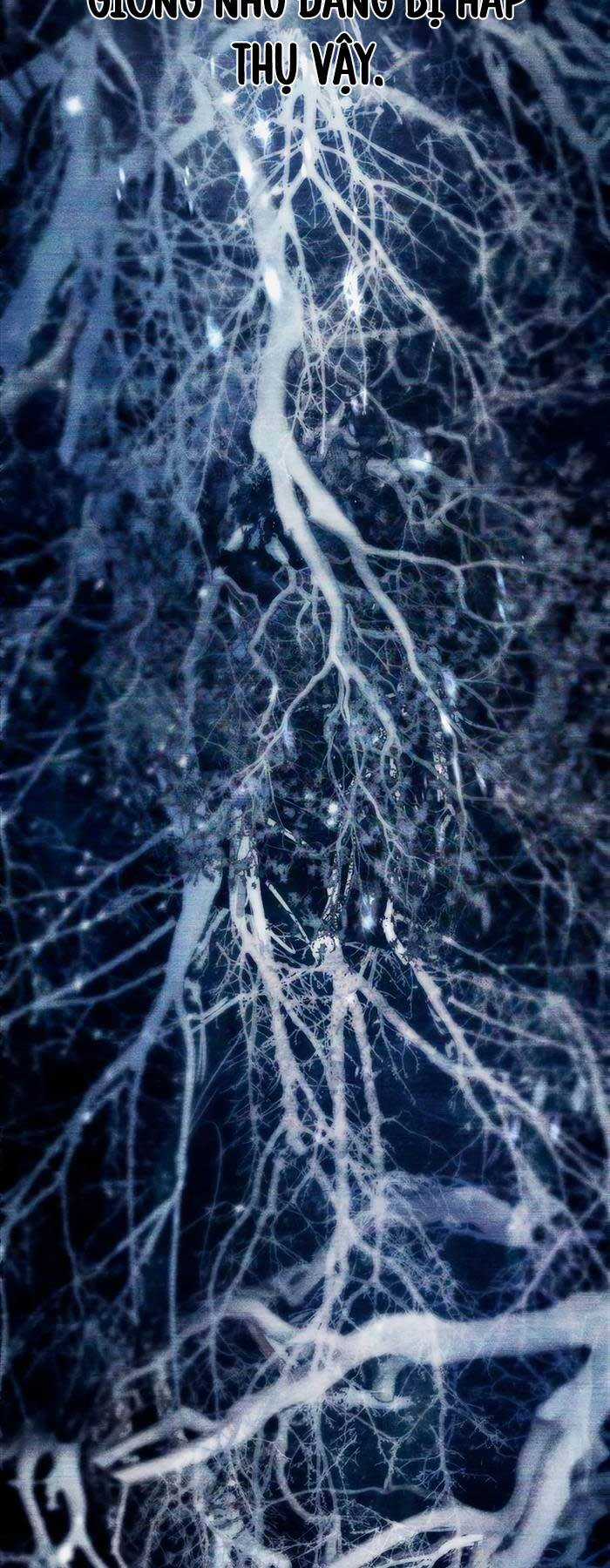 Những Ranker Cấp S Mà Tôi Nuôi Dưỡng Chapter 92 trang 44