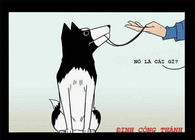 Những sự kiện kỳ dị Chapter 22 trang 99