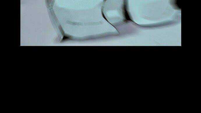 Những Xác Chết Hồi Sinh Từ Đại Dương Chapter 19 trang 14