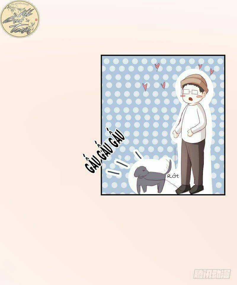 Nhược Khí Giáo Thảo Truy Ái Kí Chapter 3 trang 13