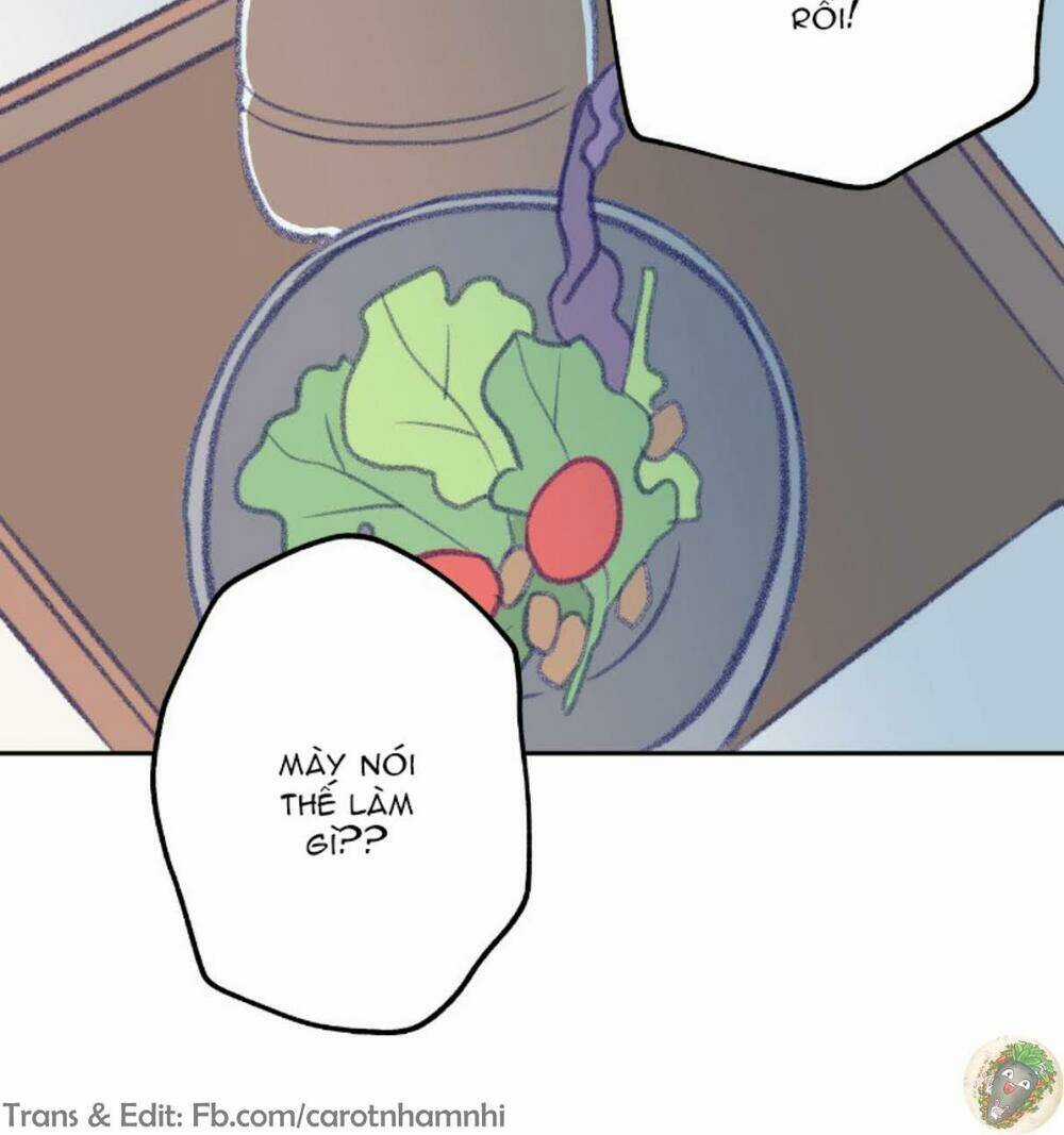 Nice To Meet You Chapter 4 trang 28