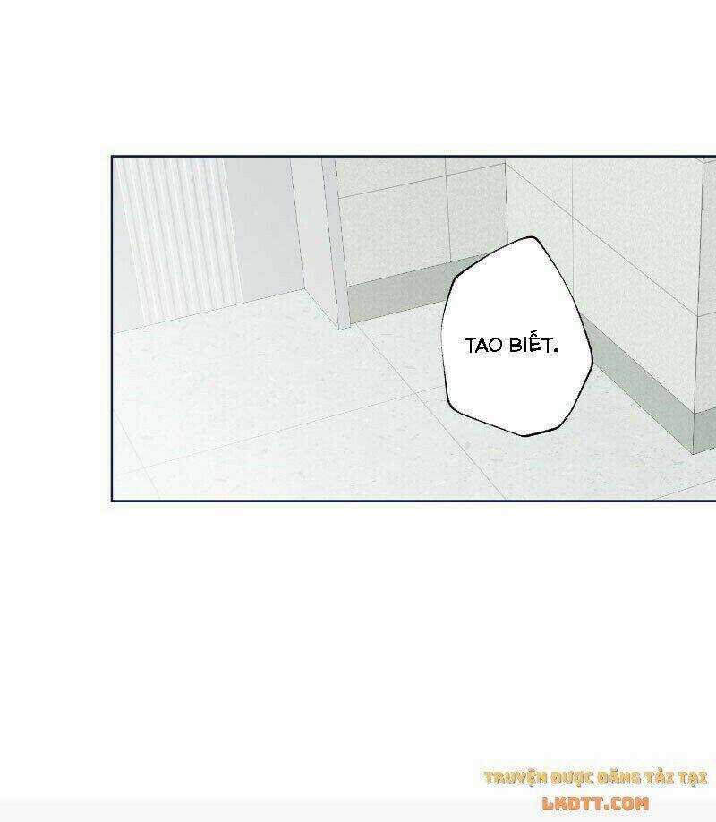 Nice To Meet You Chapter 50 trang 20