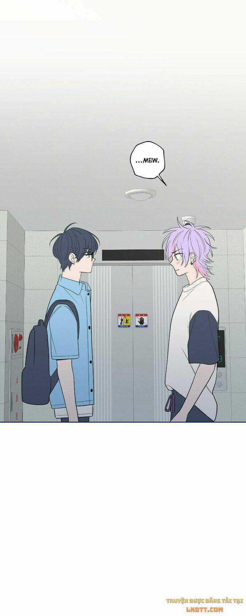 Nice To Meet You Chapter 50 trang 3