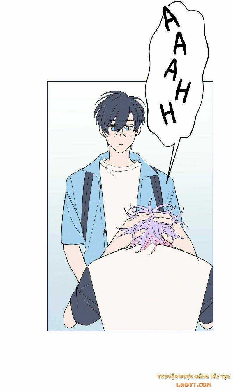 Nice To Meet You Chapter 50 trang 31