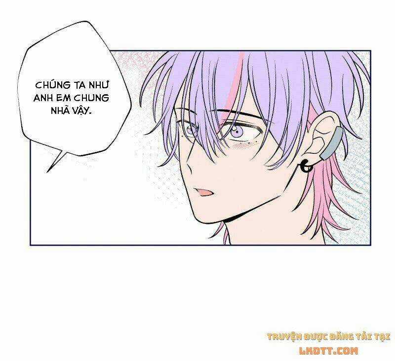 Nice To Meet You Chapter 50 trang 41