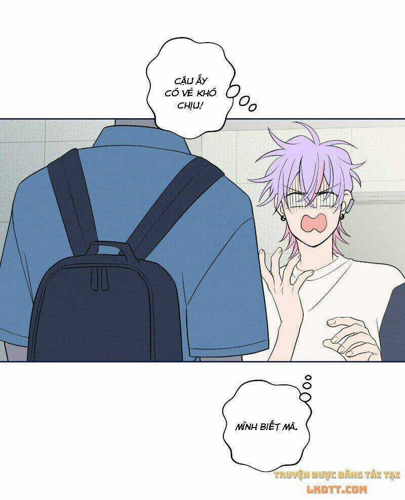 Nice To Meet You Chapter 50 trang 6