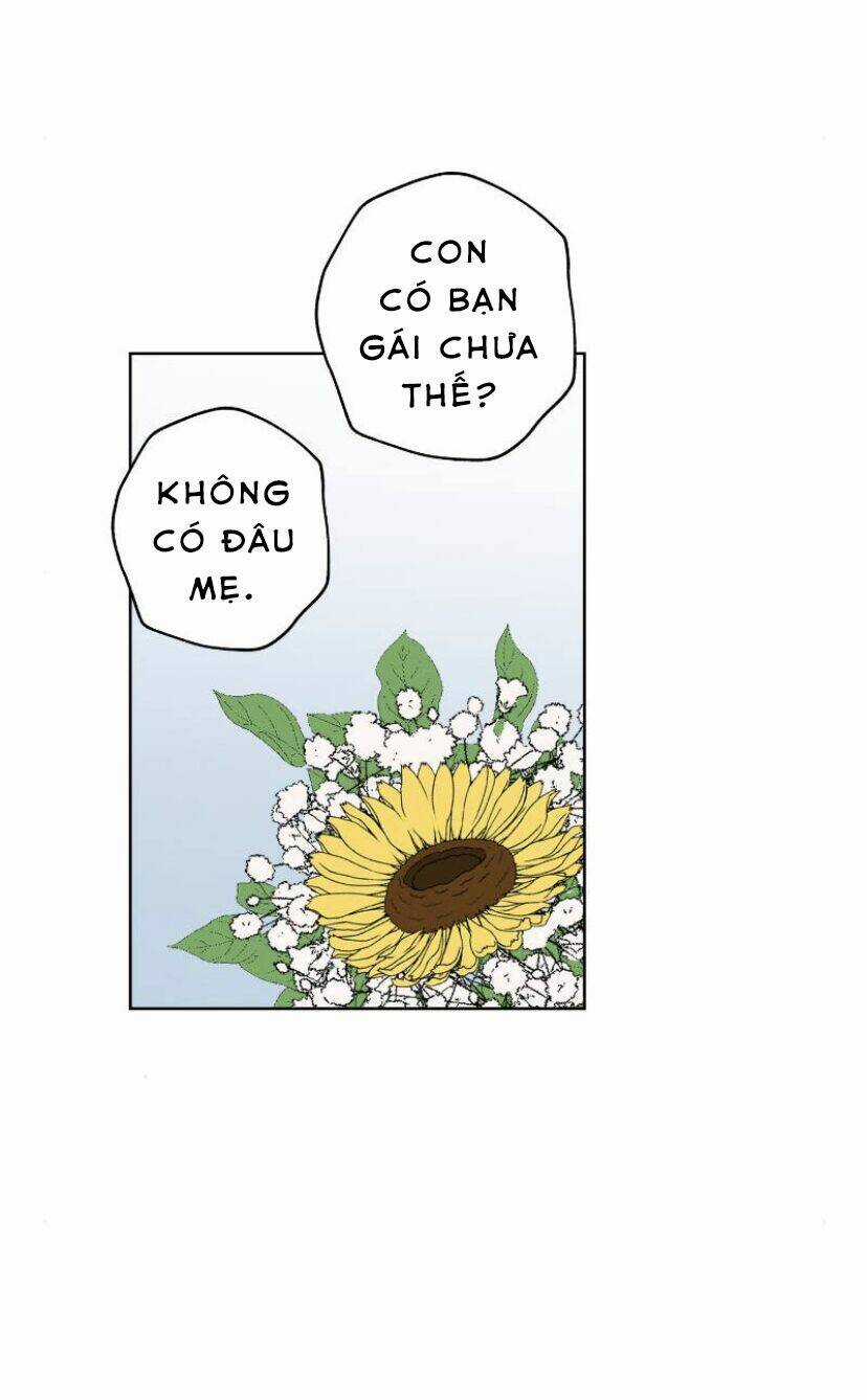 Nice To Meet You Chapter 59 trang 19