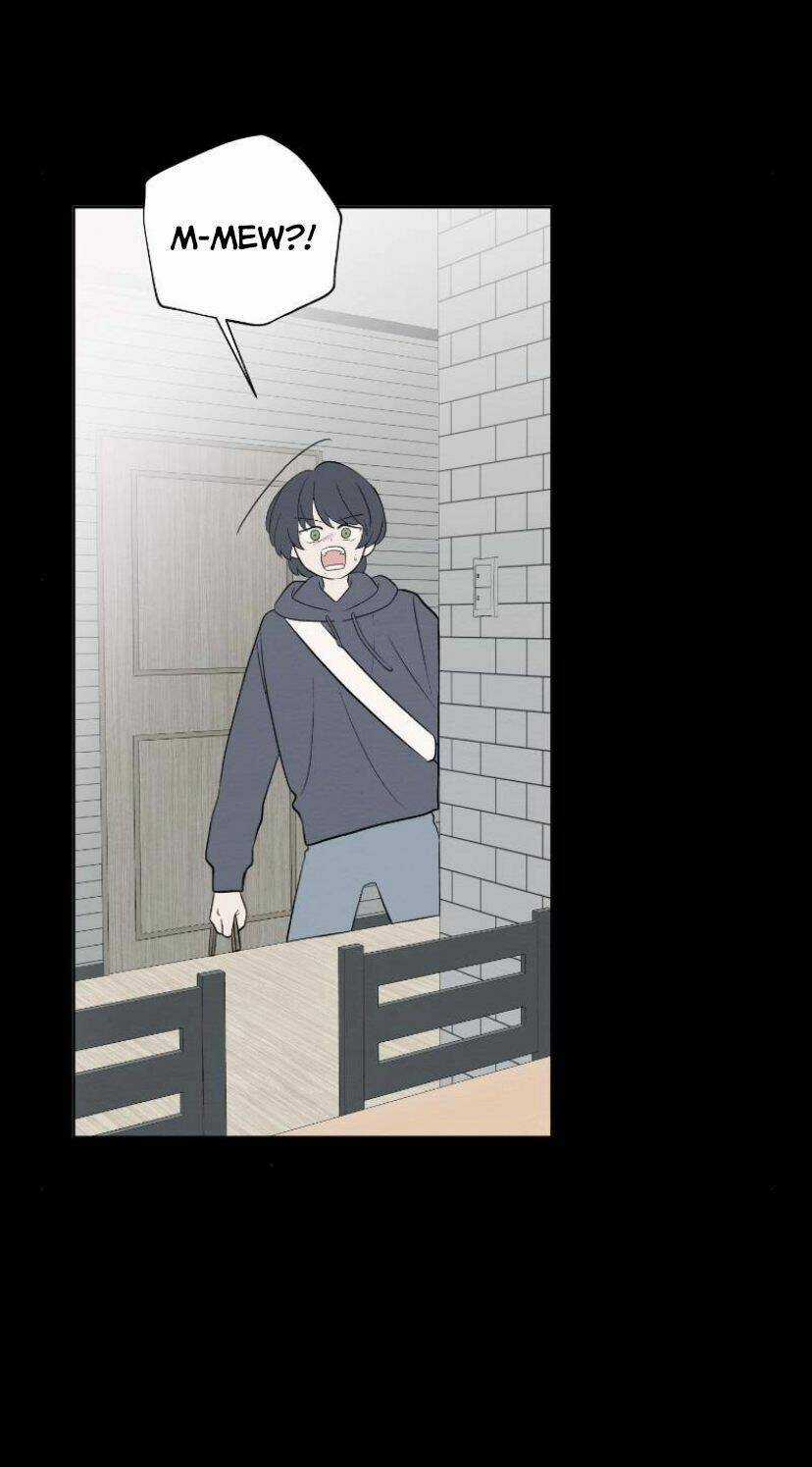 Nice To Meet You Chapter 60 trang 34