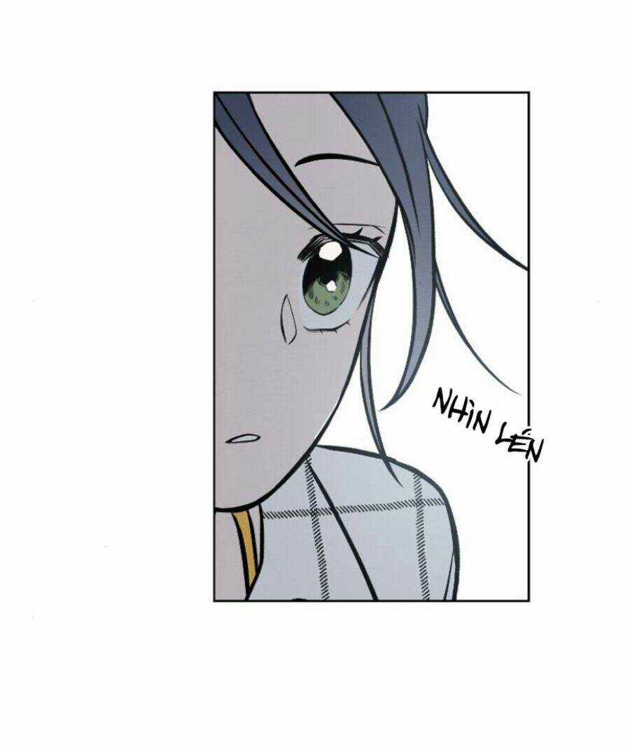 Nice To Meet You Chapter 62 trang 39