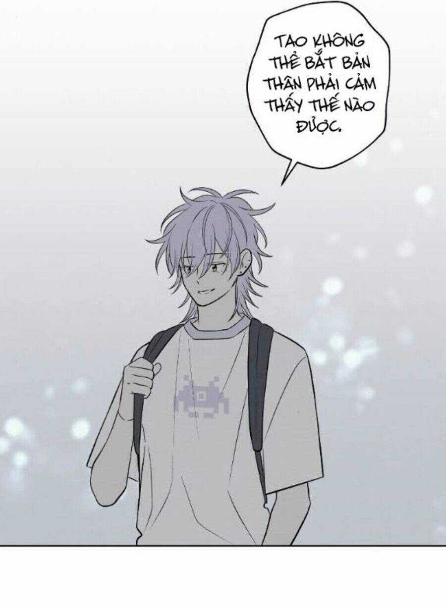 Nice To Meet You Chapter 62 trang 41