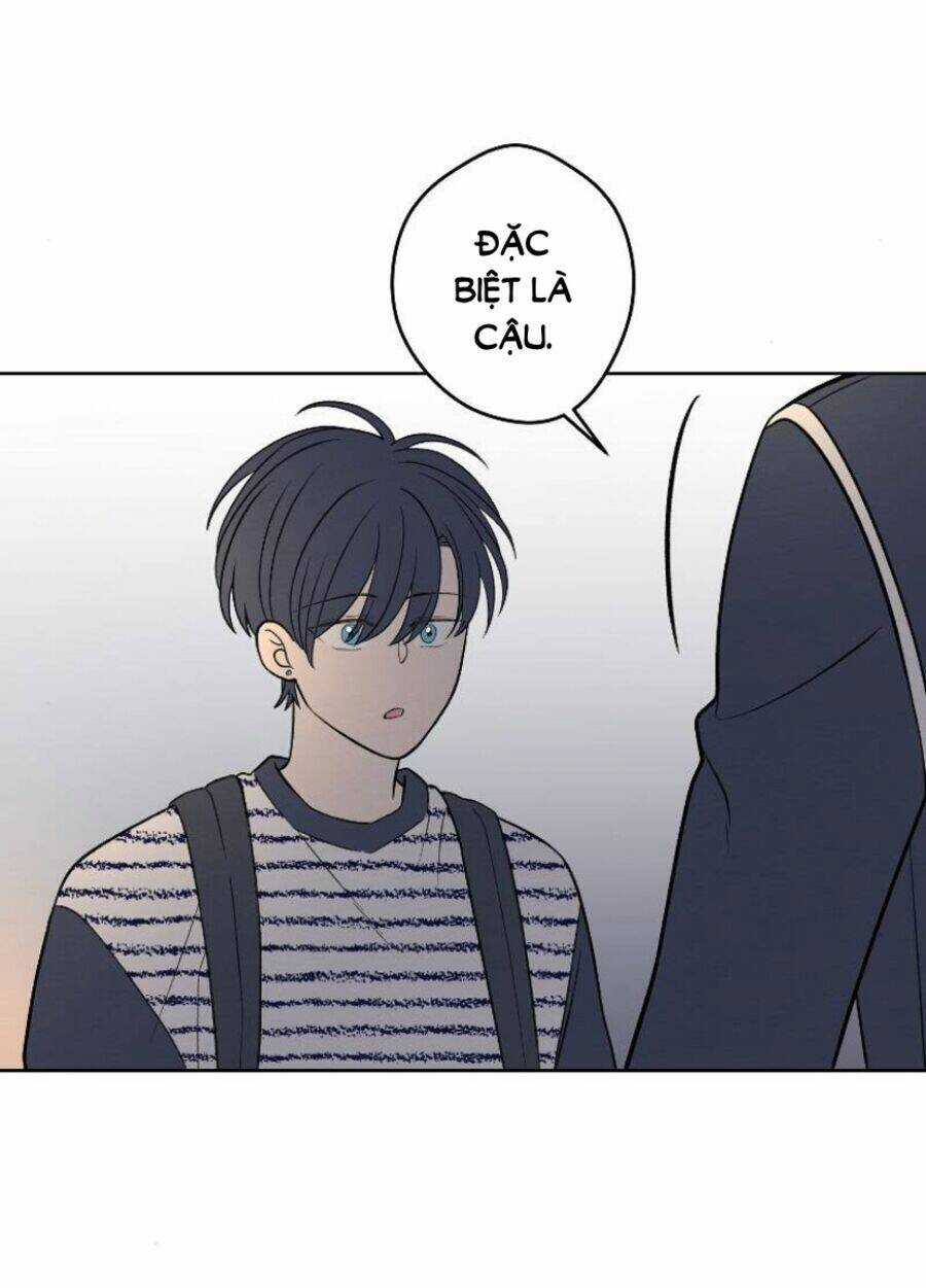 Nice To Meet You Chapter 63 trang 13