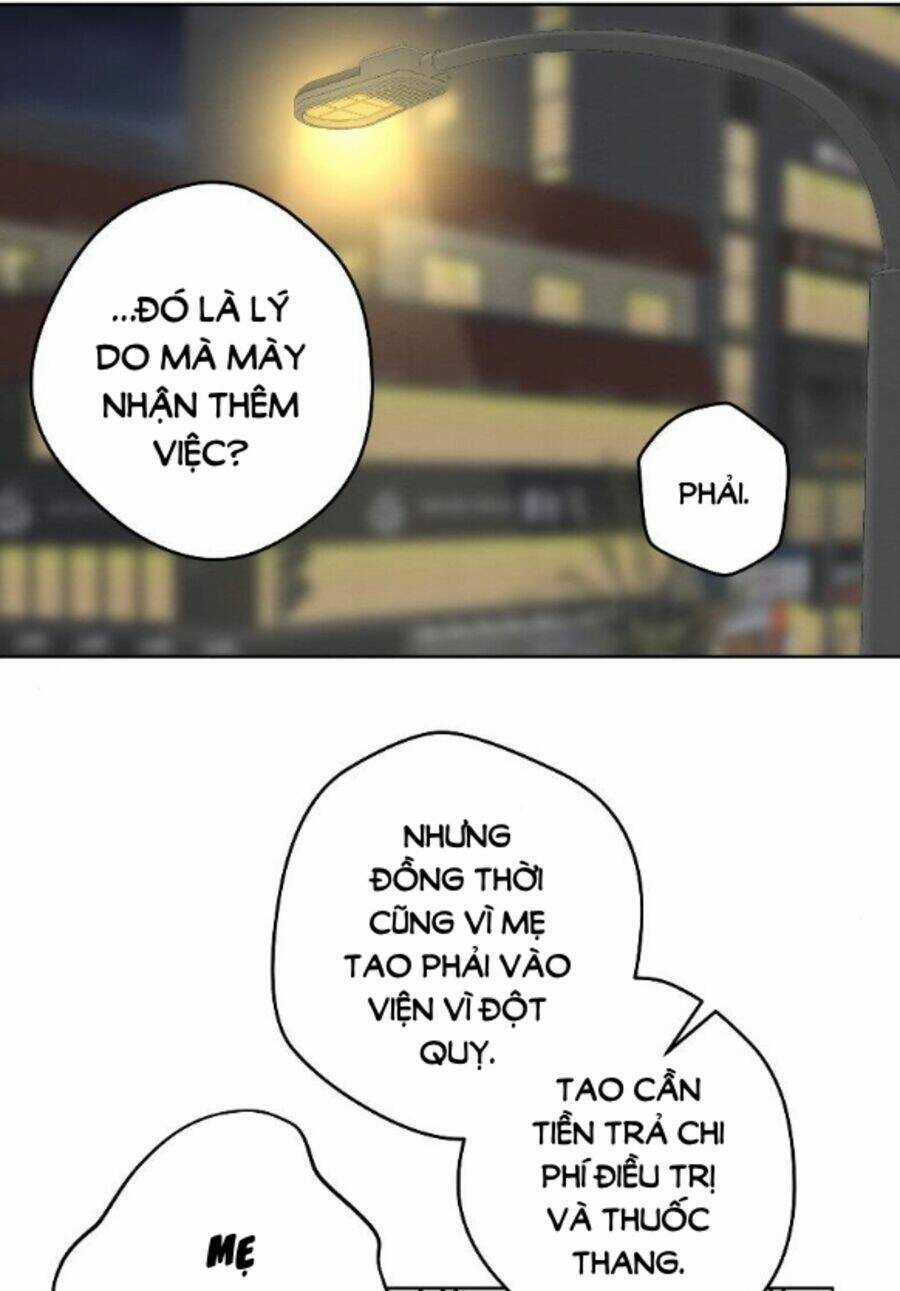 Nice To Meet You Chapter 63 trang 42