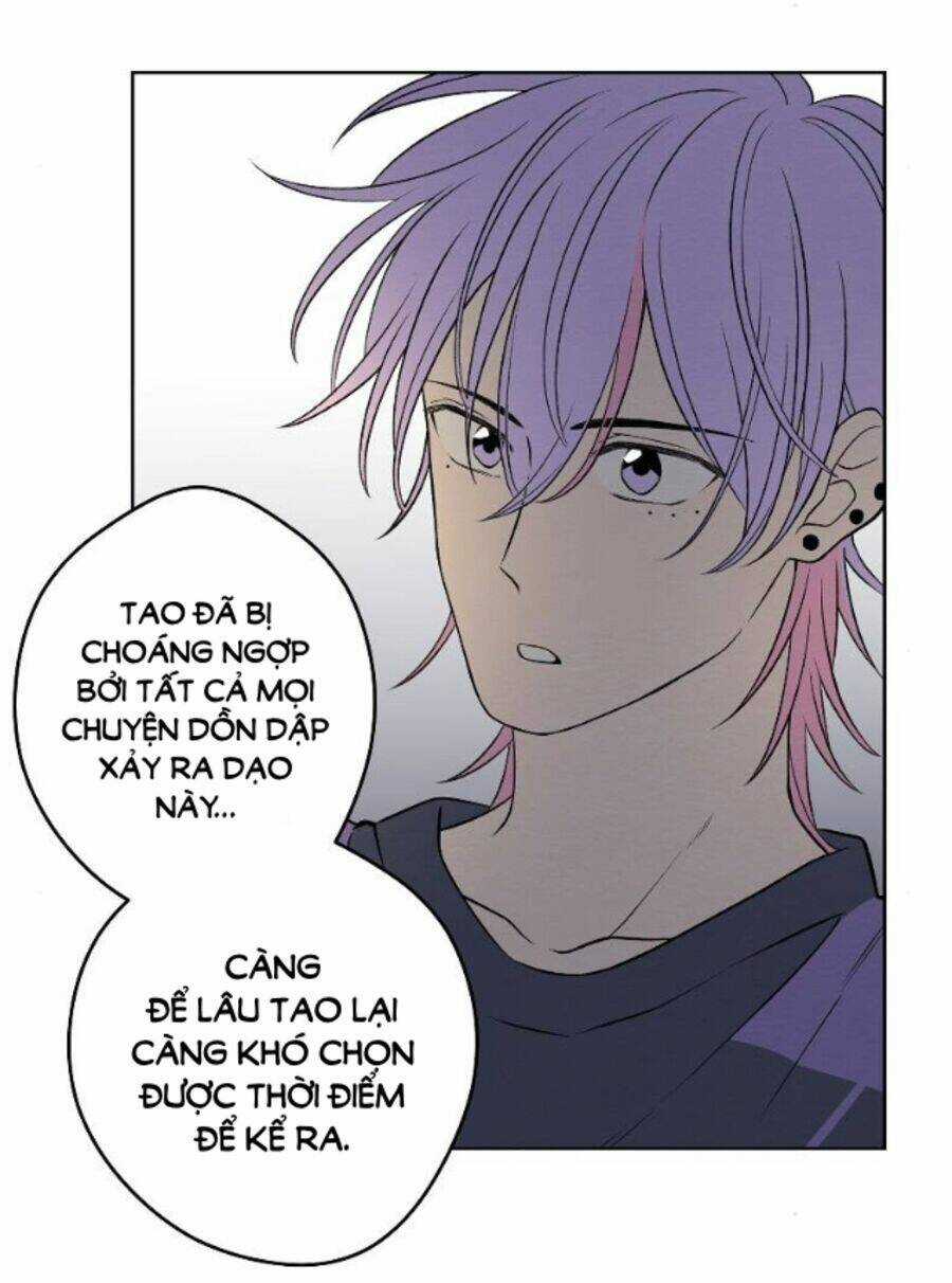 Nice To Meet You Chapter 63 trang 52