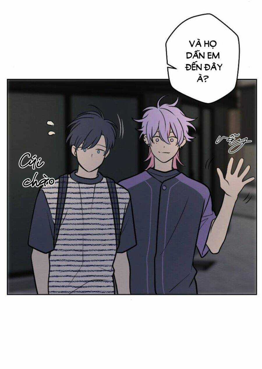 Nice To Meet You Chapter 63 trang 6