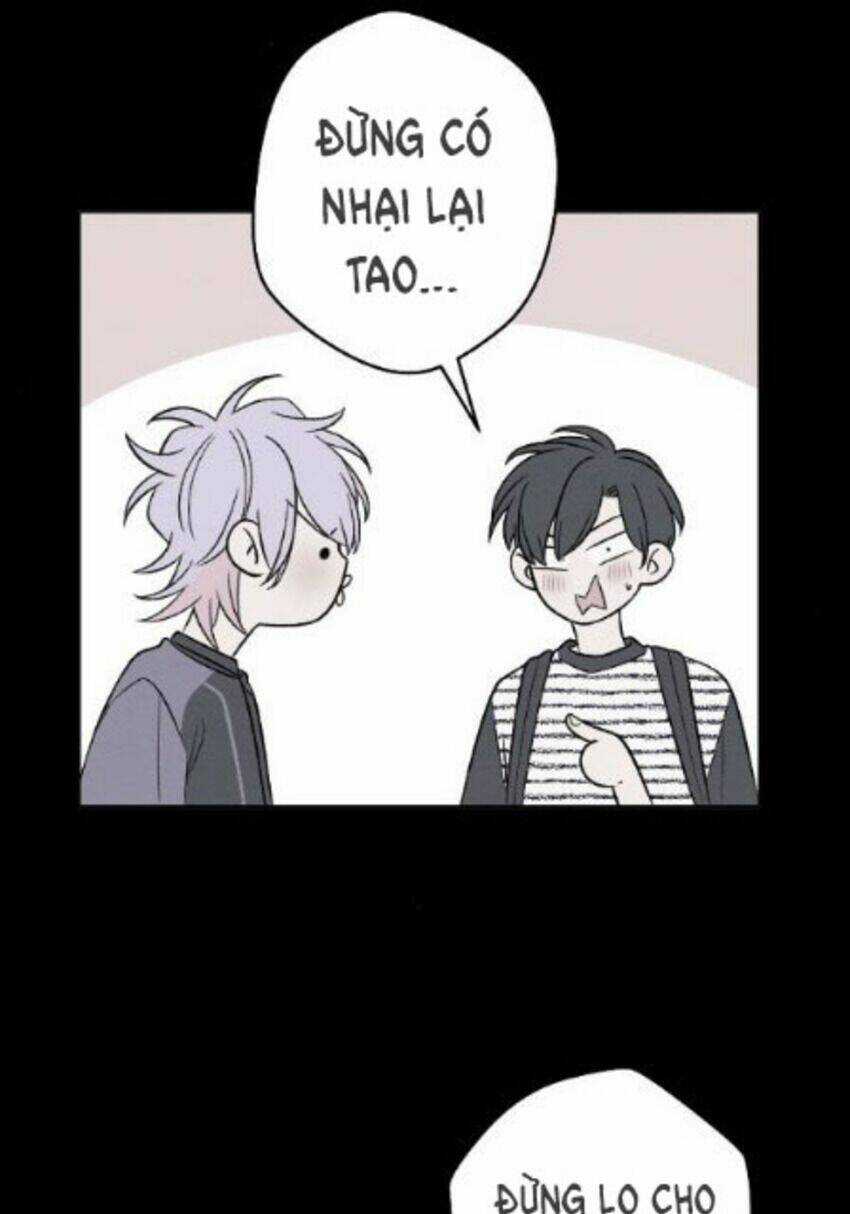 Nice To Meet You Chapter 64 trang 11