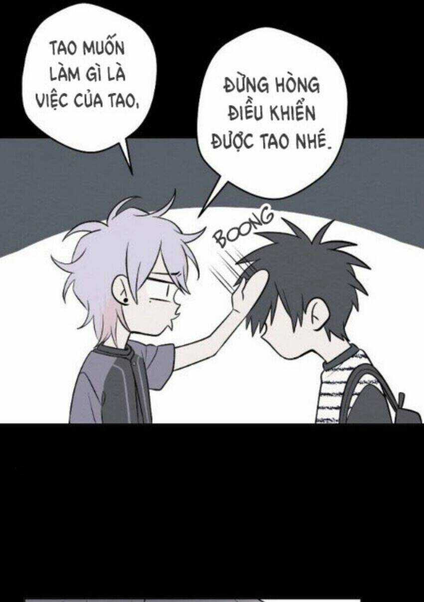 Nice To Meet You Chapter 64 trang 15