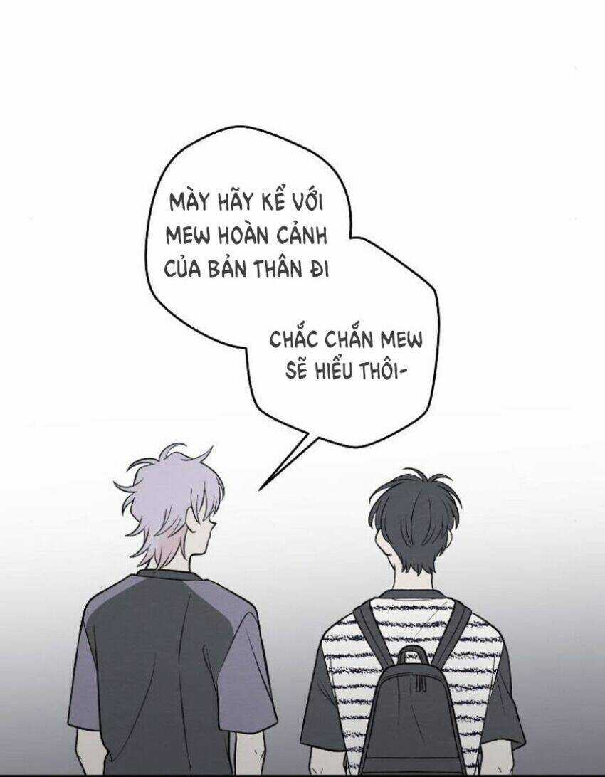 Nice To Meet You Chapter 64 trang 18