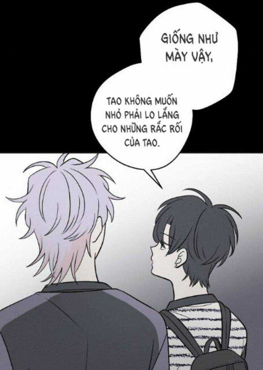 Nice To Meet You Chapter 64 trang 19