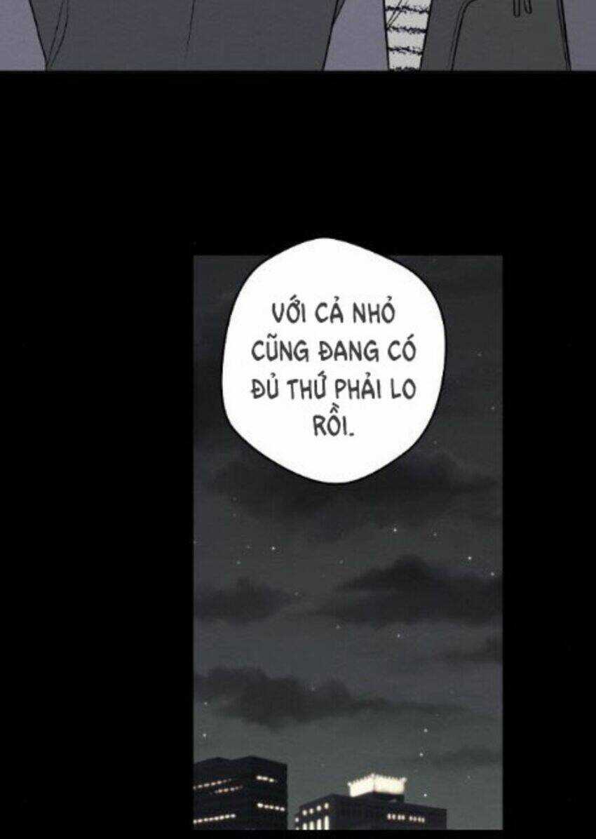 Nice To Meet You Chapter 64 trang 20