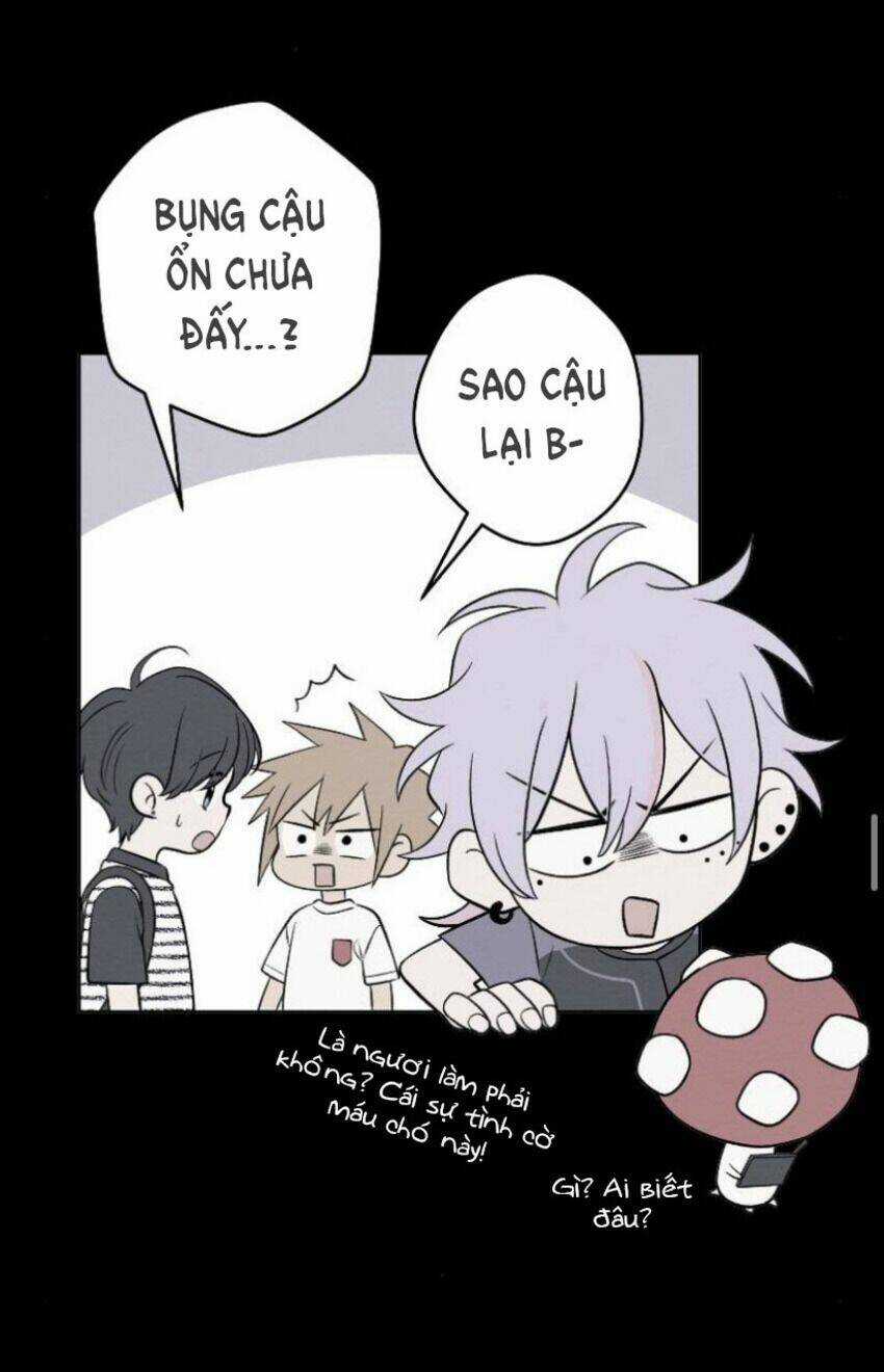 Nice To Meet You Chapter 64 trang 25