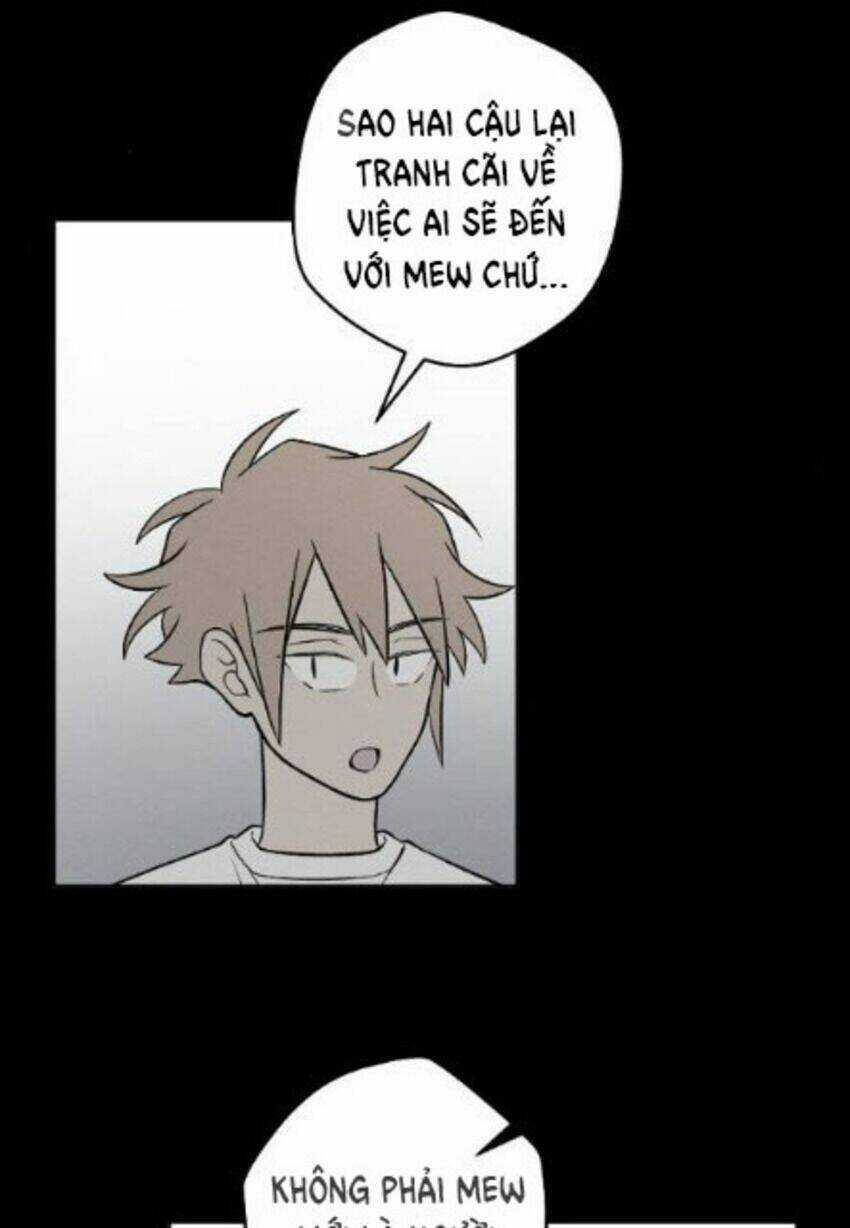 Nice To Meet You Chapter 64 trang 27