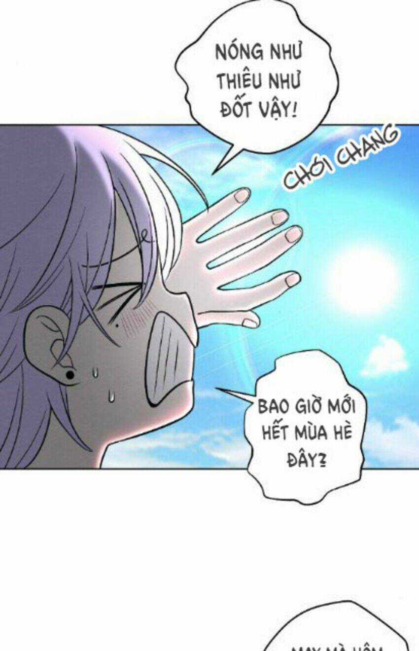 Nice To Meet You Chapter 64 trang 3