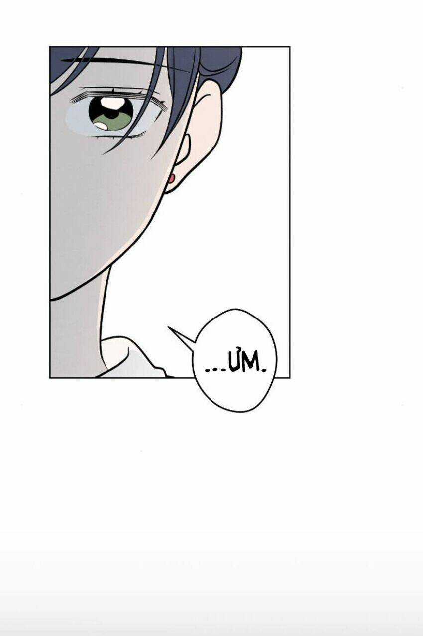 Nice To Meet You Chapter 64 trang 41